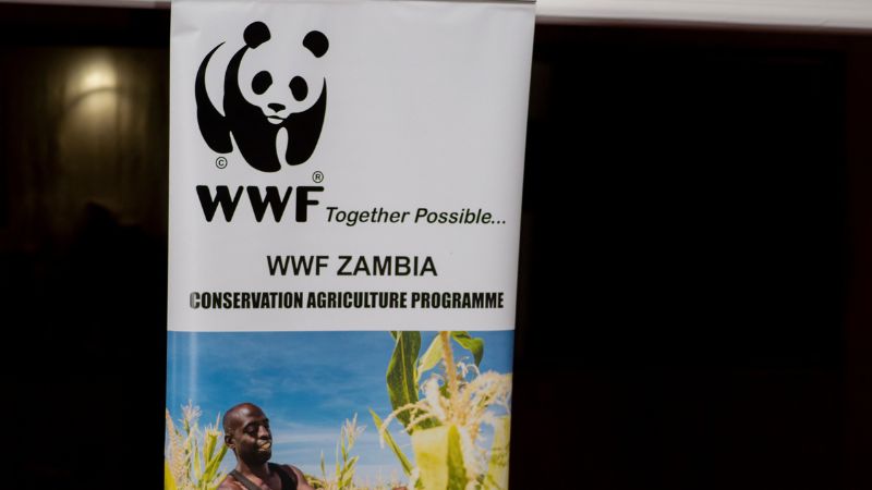 WWF-World-Wide-Fund-for-Nature-Zambia-New-Deal-for-Nature-and-People-Campaign-Lusaka-Zambia-2-1-1-1-1.jpg